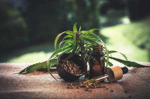 THC-O in USA THC-O in USA
